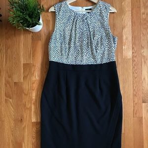 Talbots Sleeveless Dress Black with Polka Dots